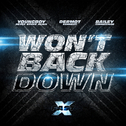 Won’t Back Down (feat. YoungBoy Never Broke Again, Dermot Kennedy & Bailey Zimmerman) (FAST X / Orig专辑