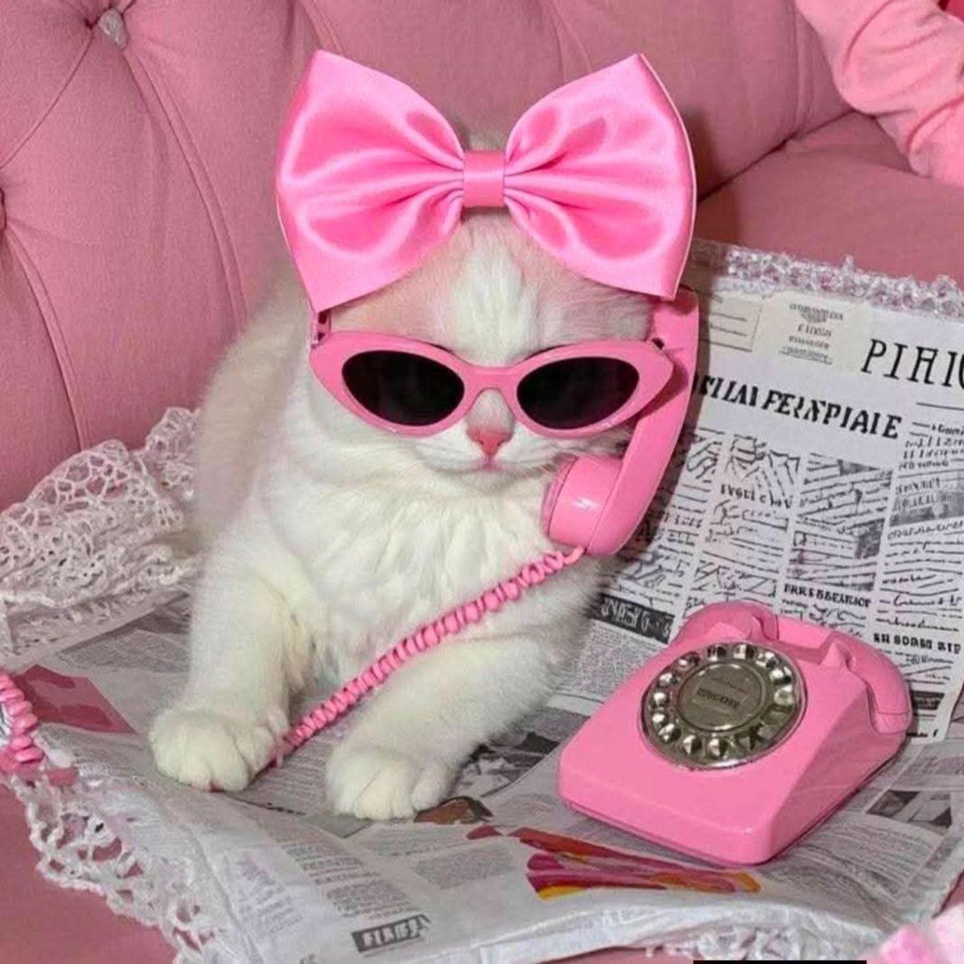 Solamente un Amor banner