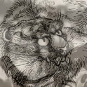 Master Li - White Tiger （白虎）专辑