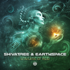 Shivatree - Universe of Acid