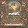 Zentrr Music - Melodia