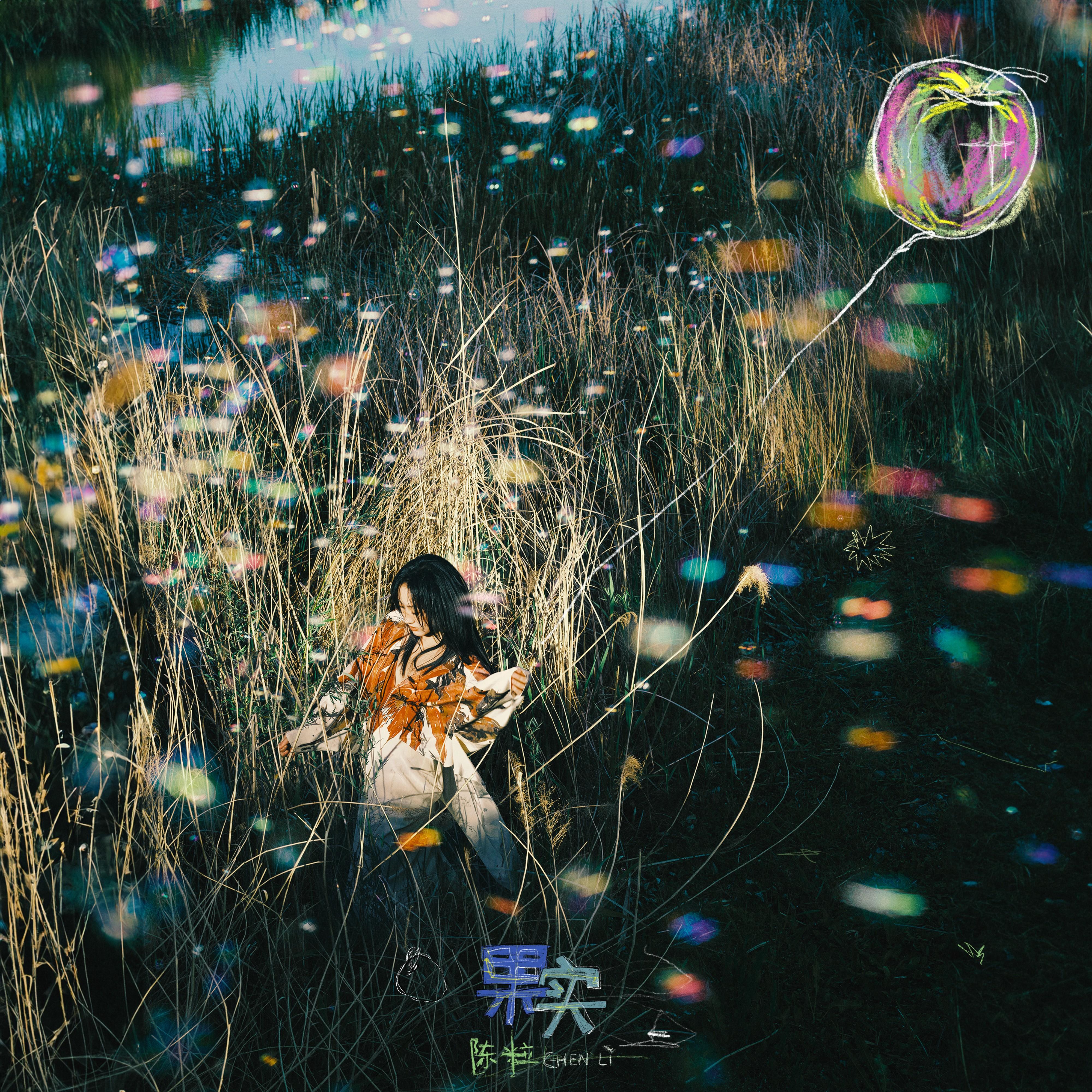 果实 海报