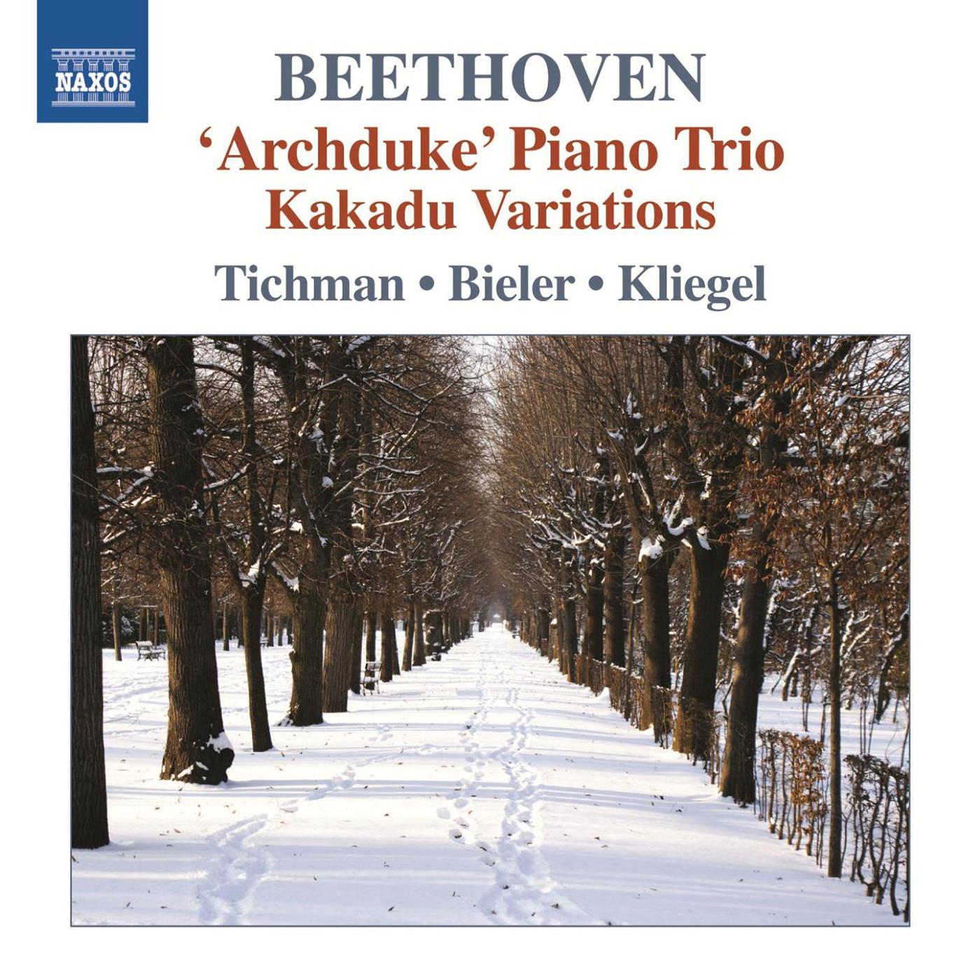 BEETHOVEN, L. van: Piano Trios, Vol. 5 - Piano Trios No. 7, \"Archduke\" and WoO 38 / Variations on 专辑