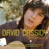 David Cassidy - How Can I Be Sure?