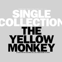 THE YELLOW MONKEY SINGLE COLLECTION专辑