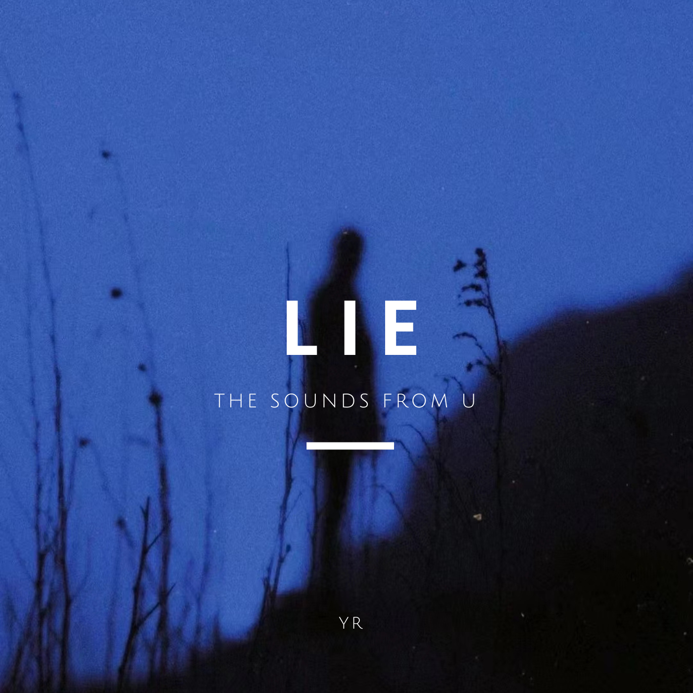 LIE 海報