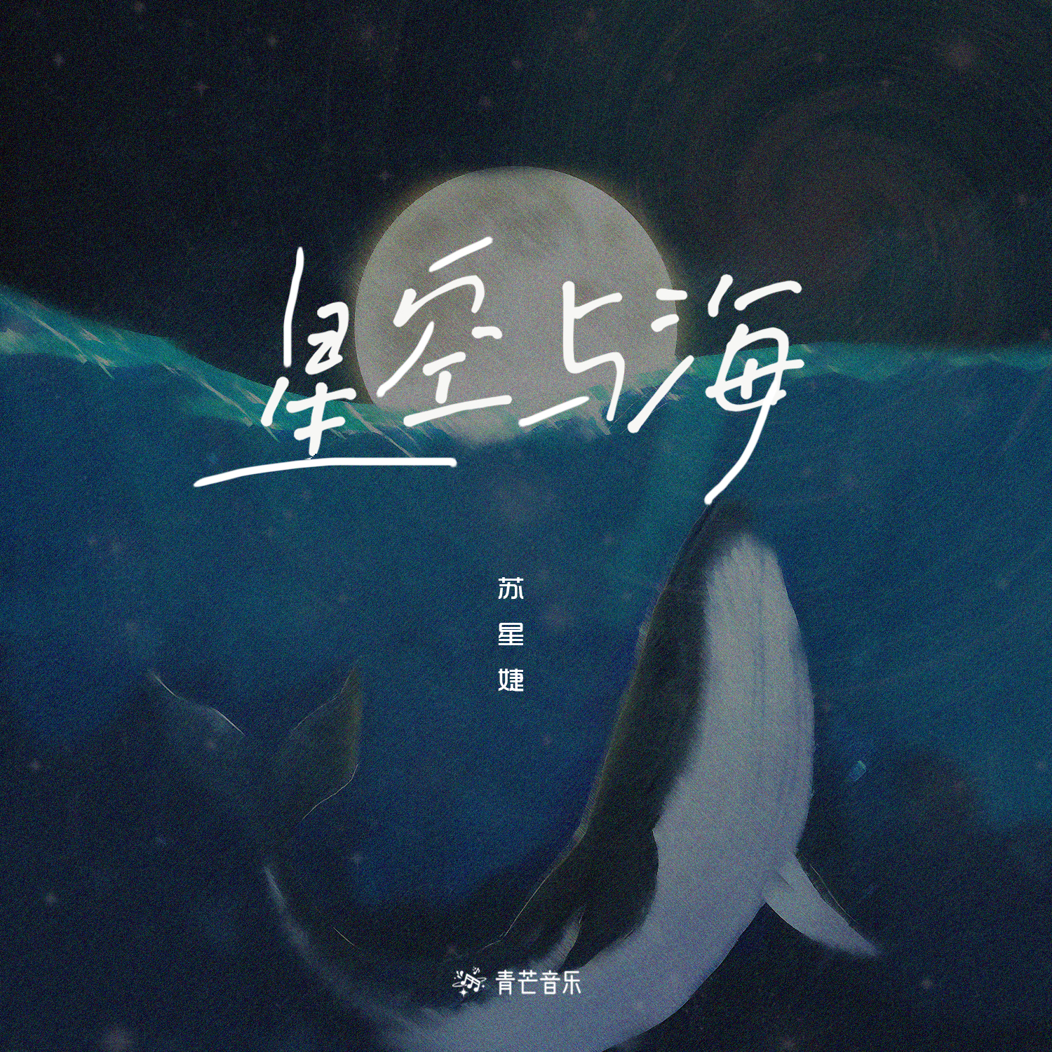 星空与海专辑