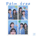 Palm tree专辑