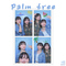 Palm tree专辑