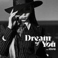 Dream of You (with R3HAB)