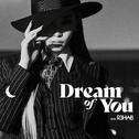 Dream of You (with R3HAB)专辑