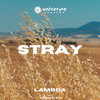 Lambda - Stray
