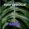 Pasha - Gorgeous