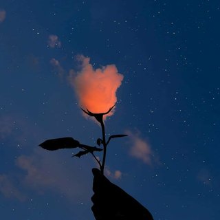 温柔呓语|予你明月携清风