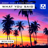 Bobby Neon - What You Said (Willem de Roo Remix)