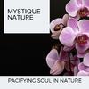 Replenishing Flames 3D Nature Music - Tranquil Fire Sound