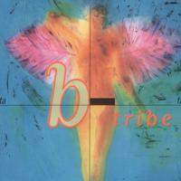 B-Tribe资料,B-Tribe最新歌曲,B-TribeMV视频,B-Tribe音乐专辑,B-Tribe好听的歌