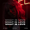 ReMan - What Is Love