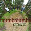 Mumbo Jumbo - Where My Heart Should Be