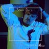 Sam Rice - 99 Prblms