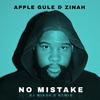 Apple Gule - No Mistake (feat. Zinah) (DJ Mikah S Remix)