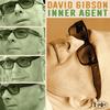David Gibson - Sweetness