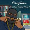 PolyDan - What You Really Want