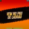 Niel No Beat - Vem no Pau de Ladrão