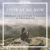 Charles Sebastian - Look At Me Now