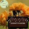 Nature Energy Powerful Music - Limpid Water Flowing