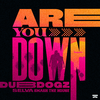 Dubdogz - Are You Down