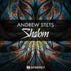 Andrew StetS - Shalom (Original Mix)