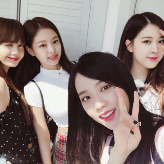 BLACKPINK / BLINK专属