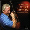 David Parmley - I've Heard The Wind Blow