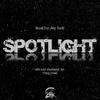 2hk-Tinted Light - Spotlight