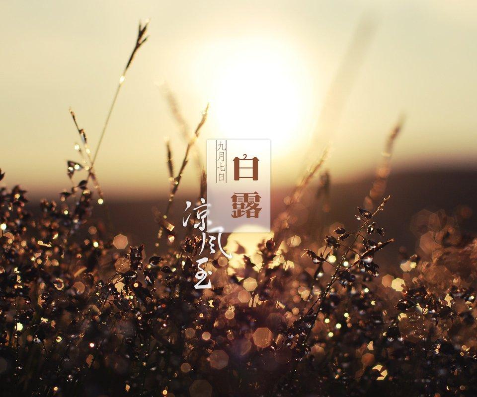 白露 - 洛天依Official, 乐正绫, 一堆拼音, 桑葚上的猴子
