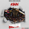 Kanin - SWISH