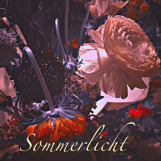 浓夏绿日｜漫长的告别