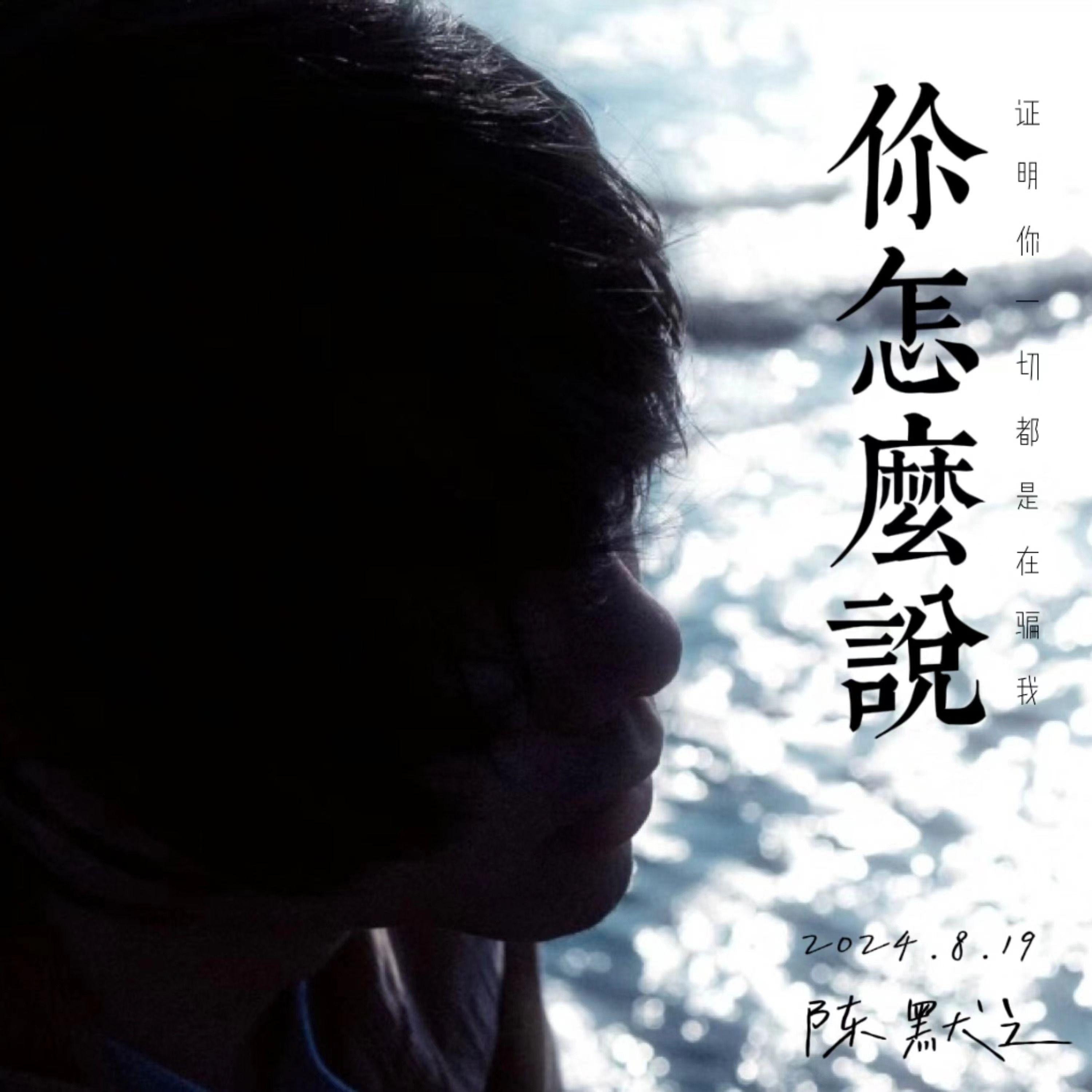 你怎么说 (证明你一切都是在骗我)（伴奏）