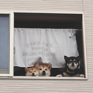 「你需要的宝藏组合指南」