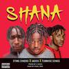 Stingdinero - shana (feat. jados & tunmise songs)