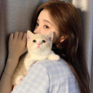 华语专辑｜心存感激，所遇即温柔