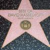 David Hasselhoff - Raindrops Keep Falling on My Head