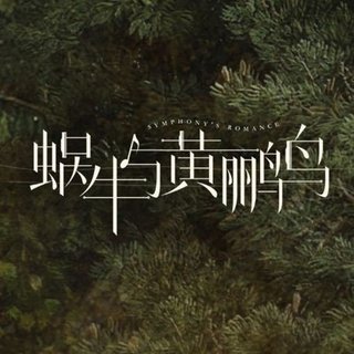 《蜗牛与黄鹂鸟》——钢琴曲收录（暂停更新