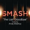 Smash Cast - The Last Goodbye (SMASH Cast Version) [feat. Andy Mientus]