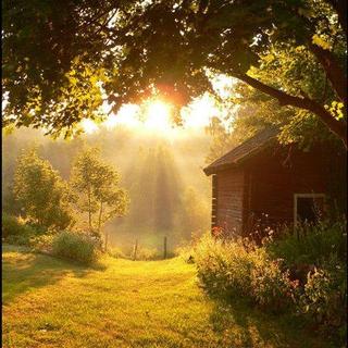 『纯音』在这里能沐浴阳光(´▽｀)ノ♪