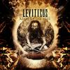 Leviticus - Into the Lexicon