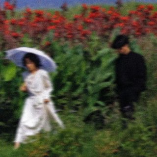 微醺的看着落日