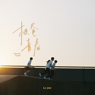 总有一首歌 是你一直的单曲循环