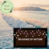 The Blissful Snapping 3D Nature Music - Observation Of Nature Sound